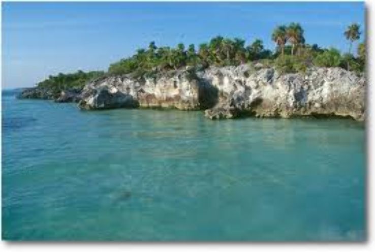 Isla Contoy Trip Packages