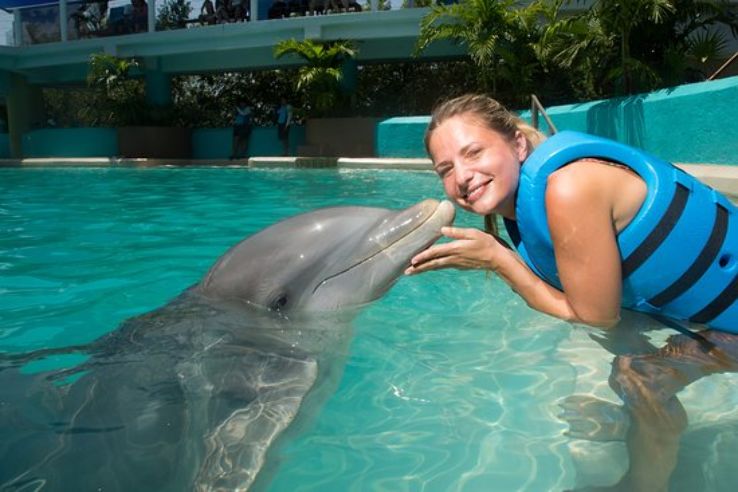 Cancun Interactive Aquarium Trip Packages