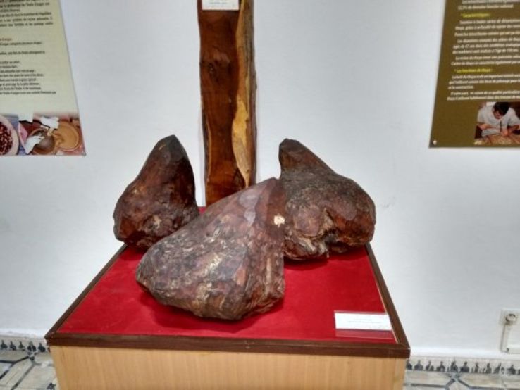 Sidi Mohammed ben Abdallah Museum Trip Packages