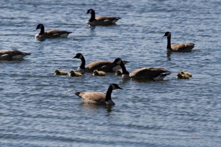 Mill Lake Trip Packages Mill Lake Trip Packages