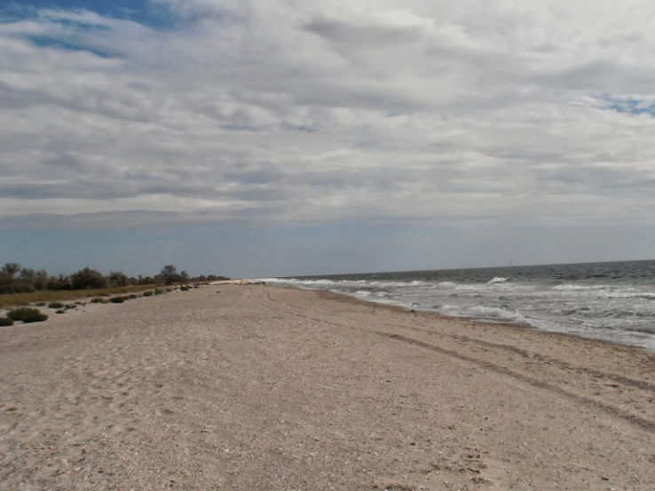 Nakatajima Sand Dunes Trip Packages