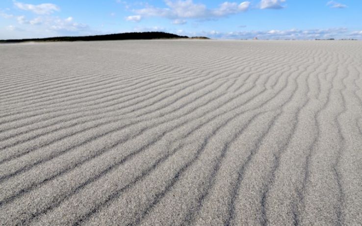 Nakatajima Sand Dunes Trip Packages