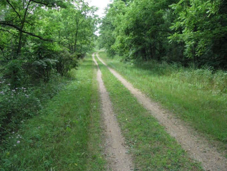 Fort Custer State Recreation Area Trip Packages