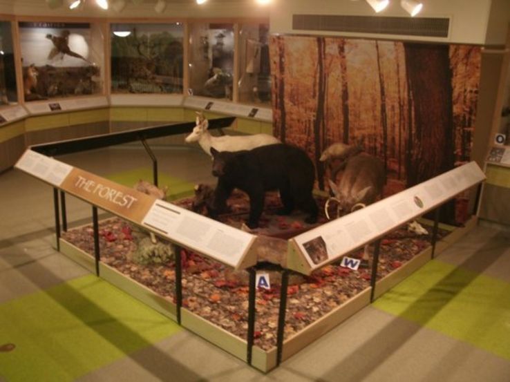 Kingman Museum Trip Packages