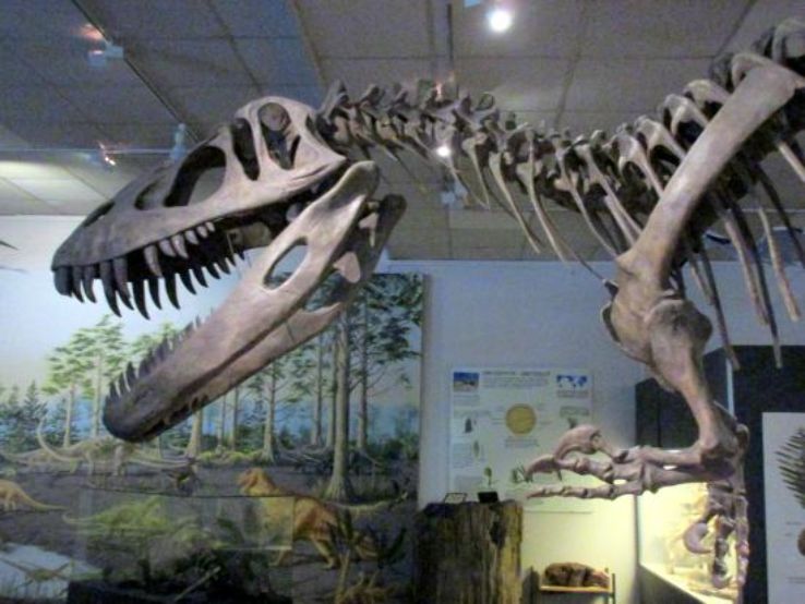 BYU Museum of Paleontology Trip Packages
