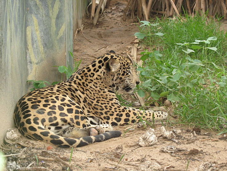 Barranquilla Zoo Trip Packages