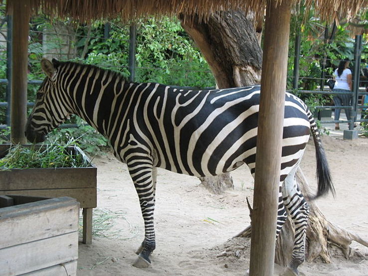 Barranquilla Zoo Trip Packages