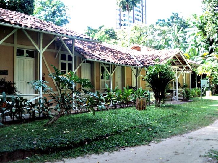 Museu Paraense Emilio Goeldi Trip Packages