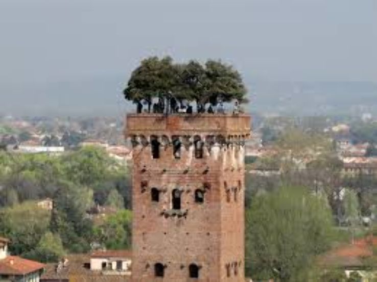 Torre Guinigi Trip Packages Torre Guinigi Trip Packages