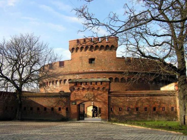Kaliningrad Regional Amber Museum Trip Packages