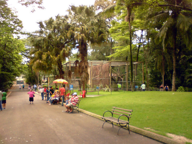 Municipal Zoological Park Quinzinho de Barros Trip Packages