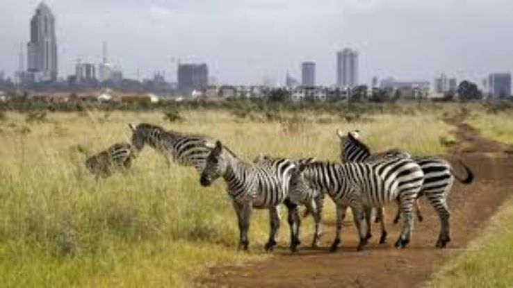 Nairobi National Park Trip Packages
