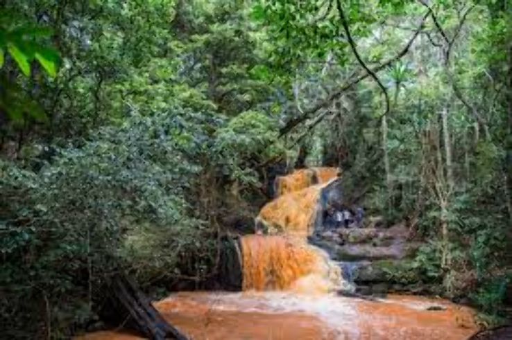 Karura Forest Trip Packages