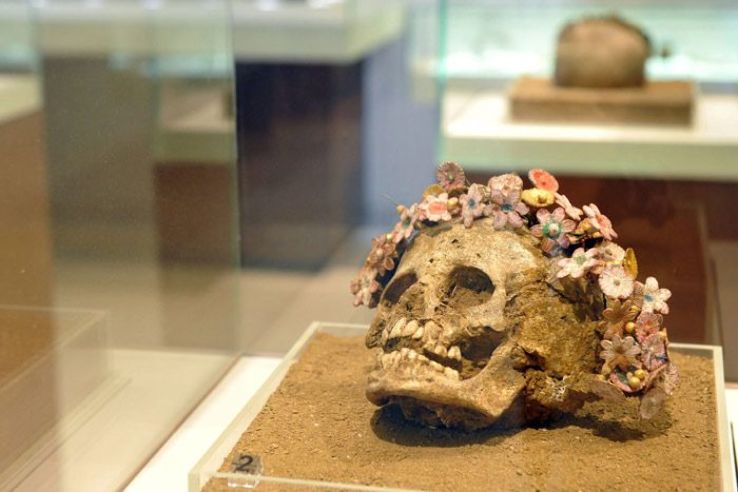 Archaeological Museum of Patras  Trip Packages
