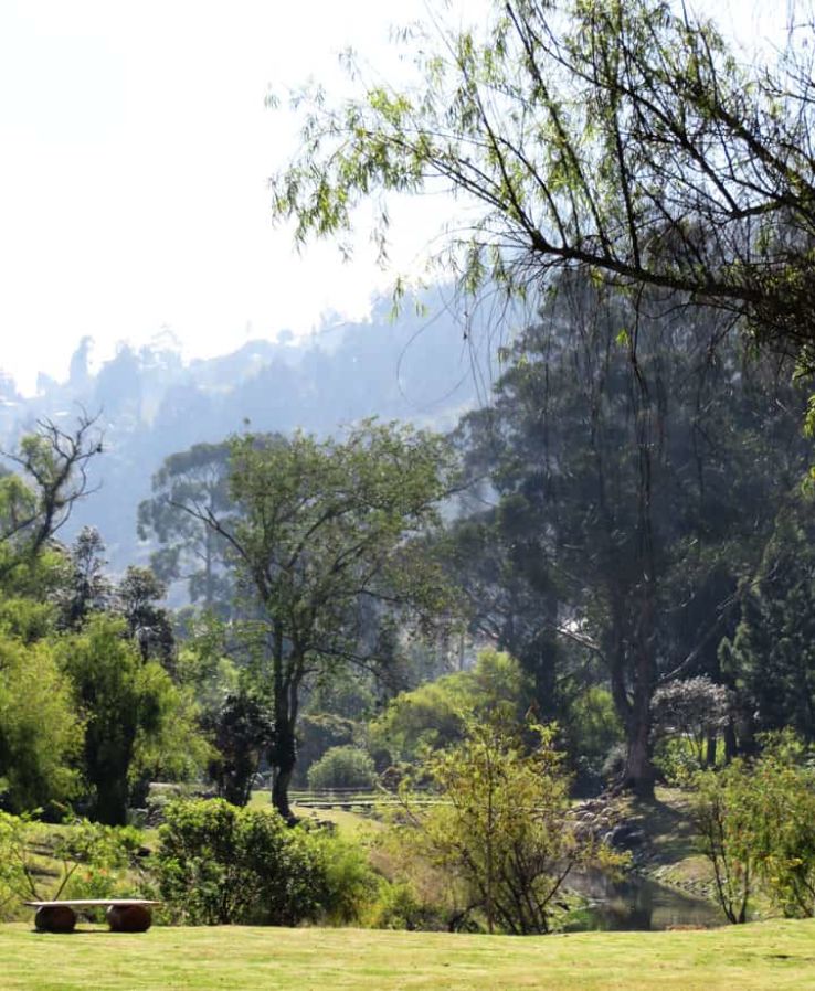 Paradise Park Trip Packages