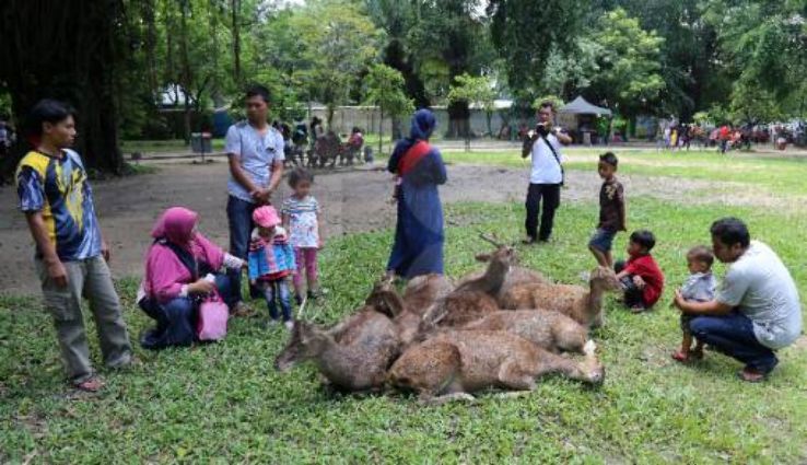 Taman balekambang Trip Packages