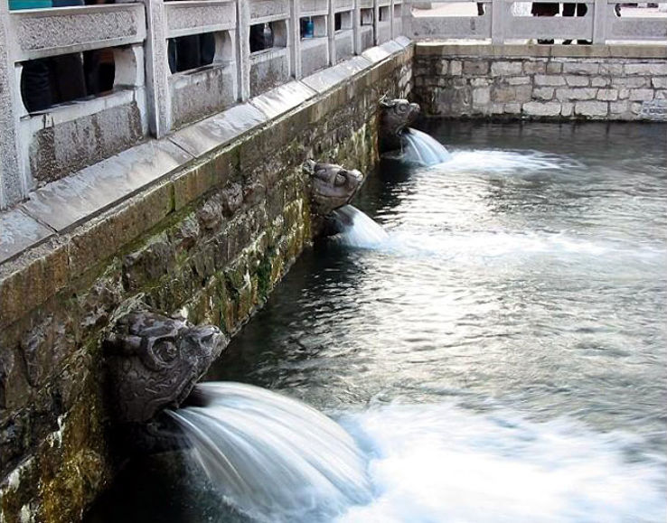 Black Tiger Spring Trip Packages Black Tiger Spring Trip Packages
