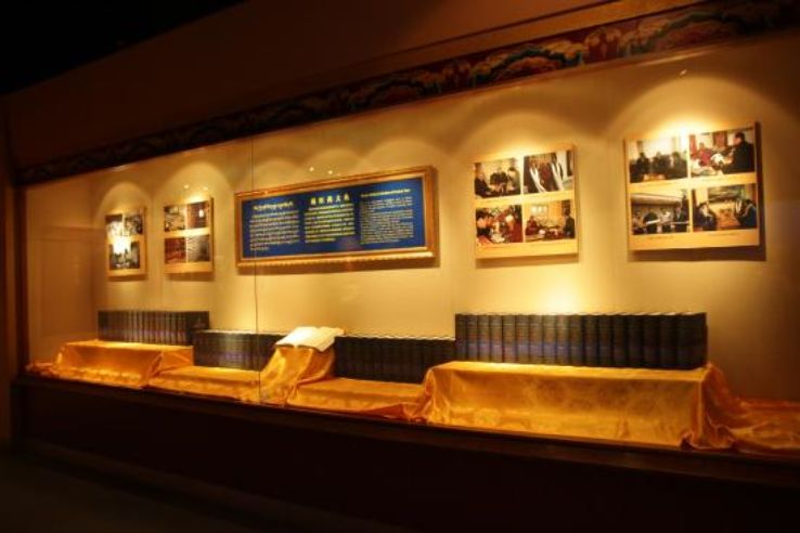 Tibetan Medicine Culture Museum Trip Packages