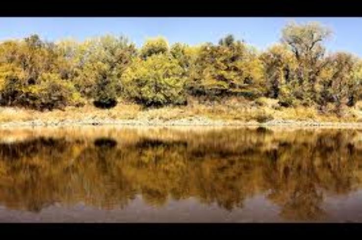 Walnut Woods State Park Trip Packages