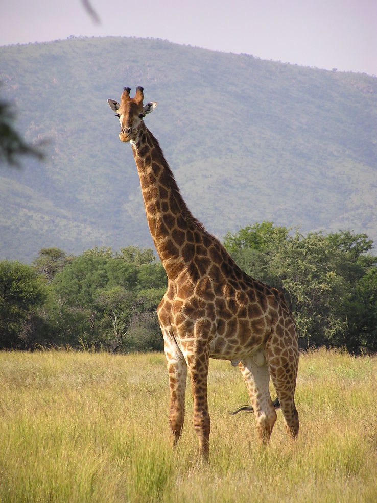 Garamba National Park Trip Packages