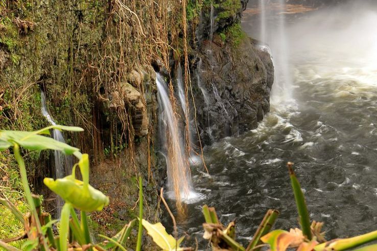 Rainbow Falls Trip Packages