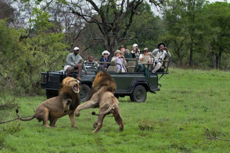 Kruger National park Trip Packages