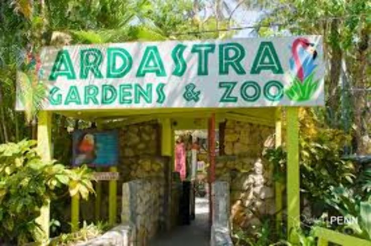 Ardastra Gardens Trip Packages