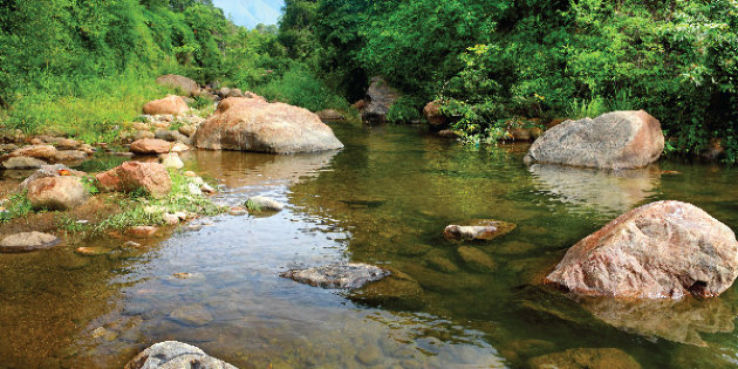 Damdama Lake Trip Packages