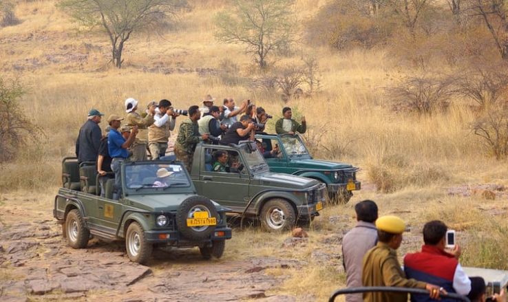 Ranthambore Trip Packages