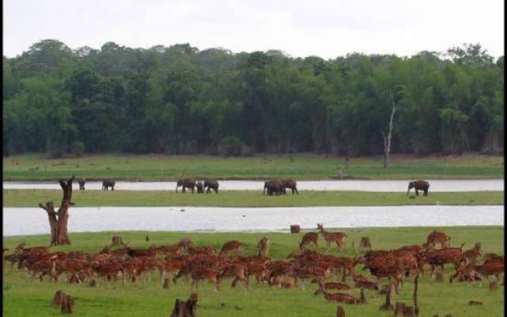 Kabini River Trip Packages