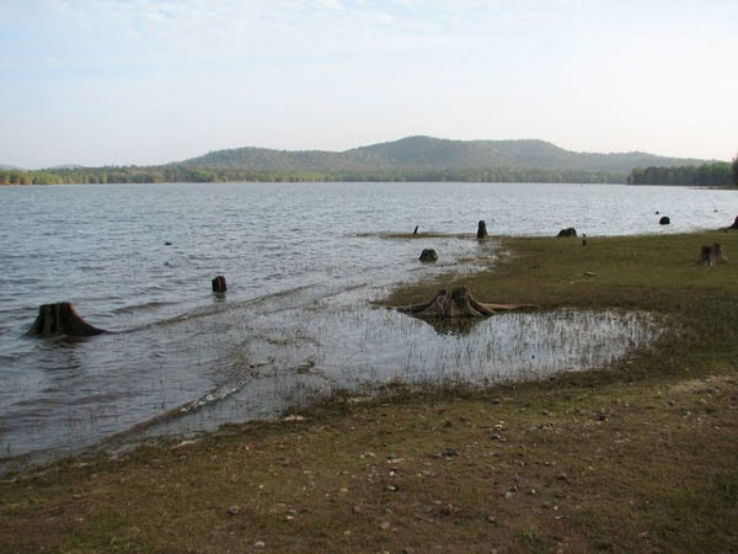 Kabini River Trip Packages