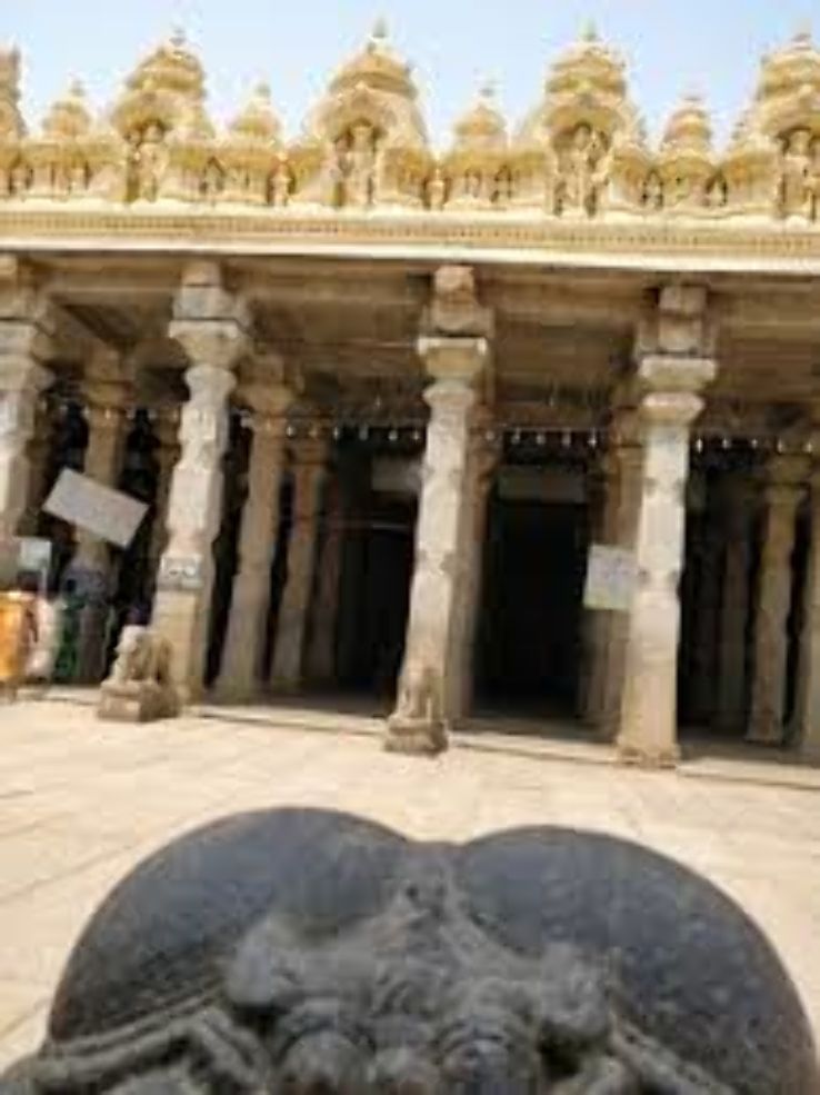 Captain Bailey s Dungeon, Srirangapatna Trip Packages