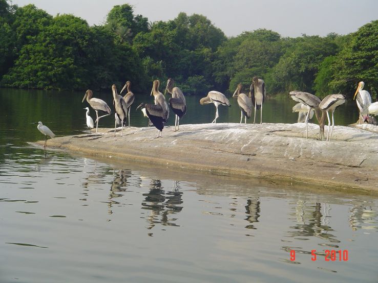 Ranganathittu Bird Sanctuary, Srirangapatna Trip Packages