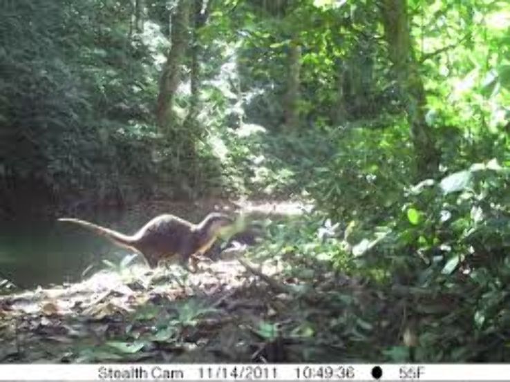 Thung Yai Naresuan Forest Trip Packages