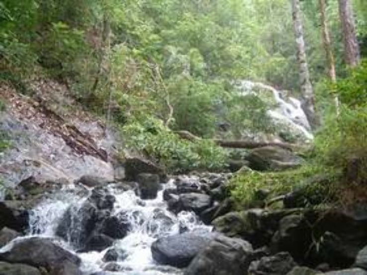 Thung Yai Naresuan Forest Trip Packages