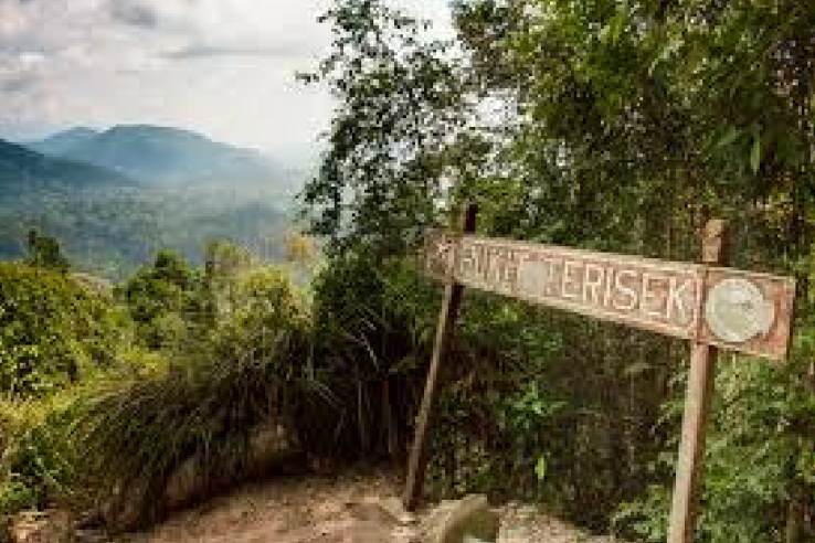 Taman Negara Trip Packages