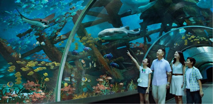 S.E.A. Aquarium Trip Packages