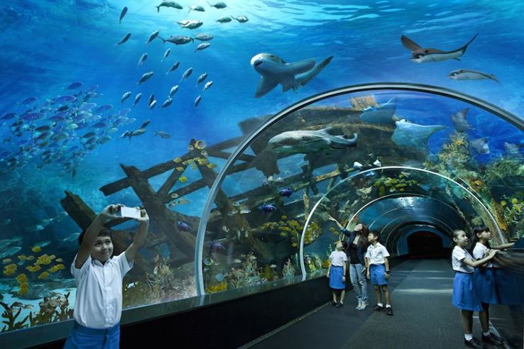 S.E.A. Aquarium Trip Packages