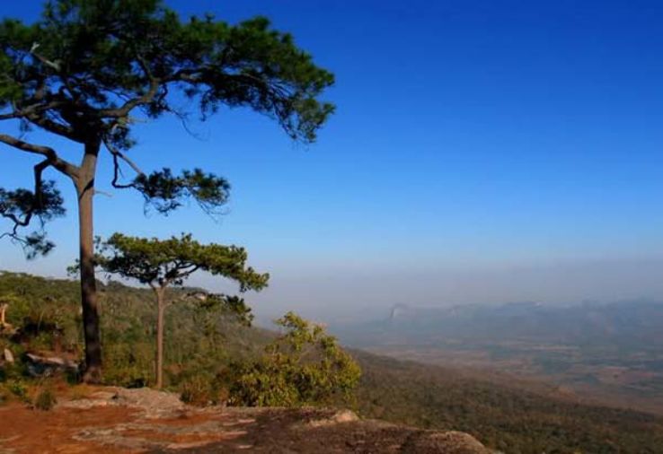 Phu Kradung?Mountain? Trip Packages