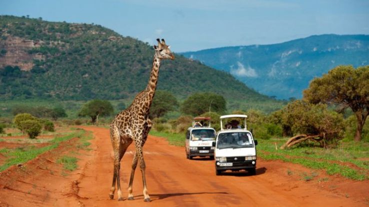 Tsavo National Park Trip Packages