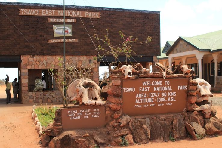 Tsavo National Park Trip Packages