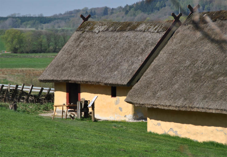 Fyrkat Viking Centre Trip Packages