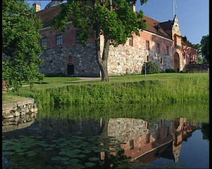 Gripsholm Castle: Svealand Trip Packages