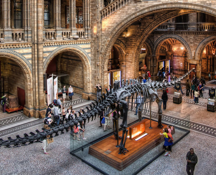 British Museum Trip Packages