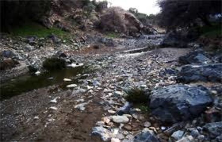 Asir National Park Trip Packages