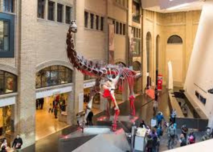 Royal Ontario Museum Trip Packages