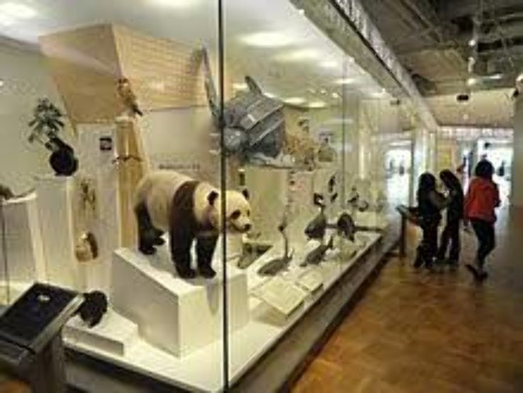 Royal Ontario Museum Trip Packages