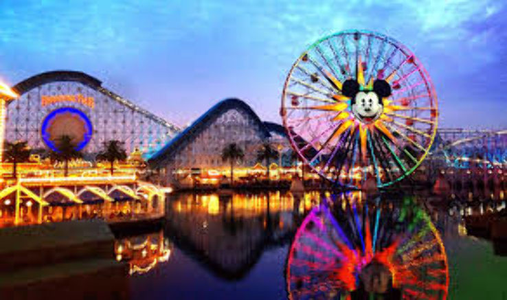Disney Land: California Trip Packages