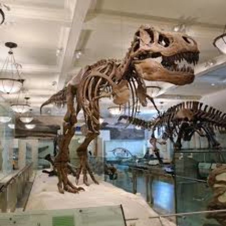 American Museum of Natural History Trip Packages