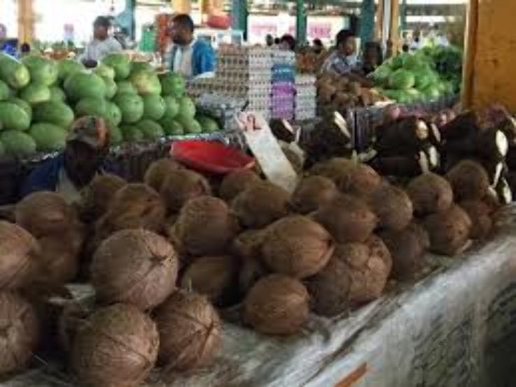 Suva Municipal Market Trip Packages